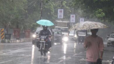 Photo of मध्य प्रदेश के दक्षिणी जिलों में बदला मौसम