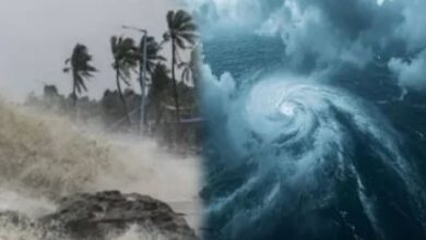 Photo of मध्य प्रदेश में ‘मोंथा’ तूफान का असर: इन 11 जिलों में तेज बारिश की चेतावनी