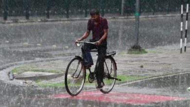 Photo of हरियाणा में होगी हल्की से मध्यम बारिश, हवाओं की दिशा में होगा बदलाव