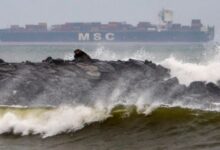 Photo of आज ओडिशा पहुंचेगा मोंथा, भारी बारिश का दौर