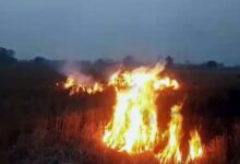 Photo of पंजाब में जल रही ज्यादा पराली… आने वाले दिनों में और जहरीली होगी हवा
