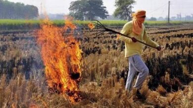 Photo of खेतों मे नहीं जलेगी पराली, किसानों ने बनाई नई उपजाऊ शक्ति