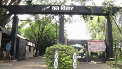 Photo of मध्यप्रदेश: वन विहार आज से बनेगा नो-व्हीकल जोन, सीएम करेंगे शुभारंभ