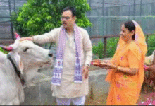Photo of राजस्थान: गोपाष्टमी पर सीएम ने की गाय की पूजा गौसंवर्धन पर दिया जोर