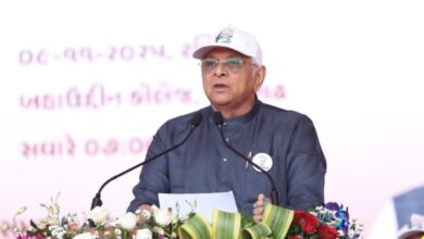 Photo of सरदार पटेल की 150वीं जयंती पर जूनागढ़ पहुंचे CM भूपेंद्र पटेल, एकता मार्च को दिखाई हरी झंडी