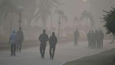 Photo of मध्यप्रदेश में ठंड ने दस्तक कई शहरों में पारा 10 डिग्री से नीचे