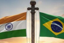 Photo of भारत ब्राजील के उष्णकटिबंधीय वन कोष में बना पर्यवेक्षक