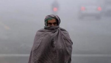Photo of पंजाब में आई ठंड: 11 डिग्री तक पहुंचा न्यूनतम तापमान