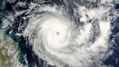 Photo of चक्रवाती तूफान ‘मोंथा’ ने झारखंड में मचाई तबाही