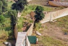 Photo of एमपी: हेलीकॉप्टर से पहली बार चला अनोखा रेस्क्यू अभियान