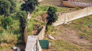 Photo of एमपी: हेलीकॉप्टर से पहली बार चला अनोखा रेस्क्यू अभियान