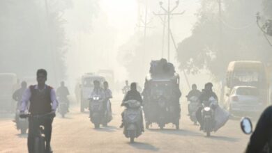 Photo of राजस्थान में सर्दी ने दिखाई तीखी दस्तक, 12 जिलों में पारा 10 डिग्री से नीचे