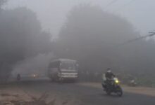 Photo of पंजाब में हल्का कोहरा 5 डिग्री तक पहुंचा न्यूनतम पारा