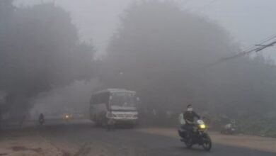 Photo of पंजाब में हल्का कोहरा 5 डिग्री तक पहुंचा न्यूनतम पारा