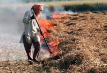 Photo of पंजाब में पराली जलाने के मामले घटे