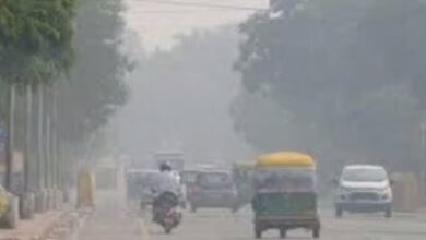 Photo of मध्यप्रदेश में पारा लुढ़का, आज 6 जिलों में शीतलहर का अलर्ट