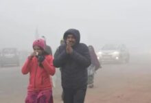 Photo of राजस्थान में समय से पहले बढ़ी सर्दी,फतेहपुर सबसे ठंडा
