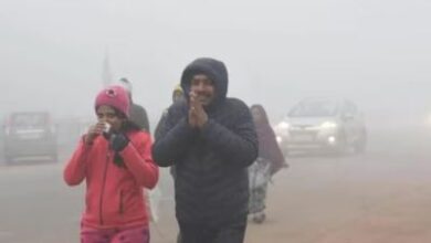 Photo of राजस्थान में समय से पहले बढ़ी सर्दी,फतेहपुर सबसे ठंडा