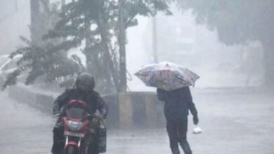 Photo of राजस्थान में उत्तरी-पश्चिमी हवाओं के असर से ठंड बढ़ी, बारिश का अलर्ट जारी