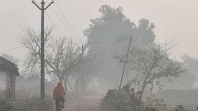 Photo of हरियाणा में तेजी से गिर रहा तापमान, पड़ने वाली है कड़ाके की ठंड