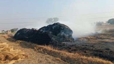 Photo of हरियाणा: पराली नहीं बनेगी मुसीबत, अब भट्ठों में ईंधन के रूप में होगी इस्तेमाल