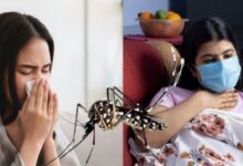 Photo of वायरल और डेंगू बुखार में क्या है अंतर? ऐसे करे पहचान