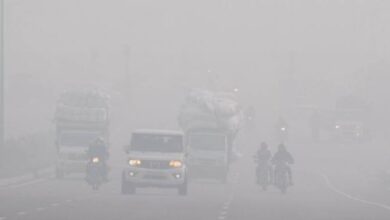 Photo of हरियाणा में ठंड का असर बढ़ने लगा, पारा 5.5 डिग्री सेल्सियस पर