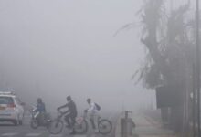 Photo of पंजाब में शीत लहर,  मौसम विभाग ने जारी की नई चेतावनी