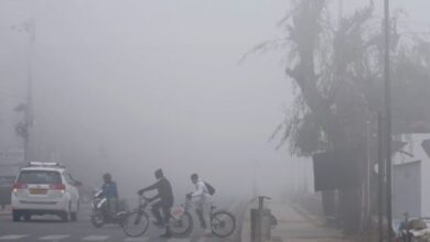 Photo of पंजाब में शीत लहर, मौसम विभाग ने जारी की नई चेतावनी