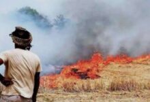 Photo of हरियाणा में एक ही दिन में सात जगह धान के अवशेष जलाने के मामले