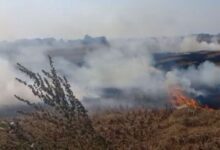 Photo of पंजाब में बढ़ा प्रदूषण: पराली जलाने के 100 नए मामले