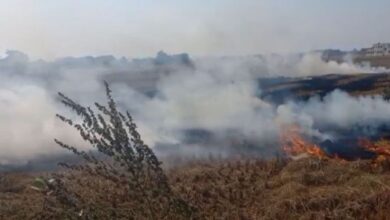 Photo of पंजाब में बढ़ा प्रदूषण: पराली जलाने के 100 नए मामले