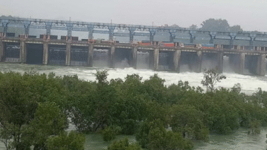 Photo of पंजाब के बांध कितने सुरक्षित: चेक करेगी पंजाब सरकार