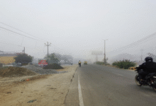 Photo of पंजाब में कोहरा शुरू: अमृतसर में दृश्यता 800 मीटर दर्ज