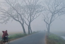 Photo of मध्य प्रदेश में ठंड ने तोड़ा 84 साल का रिकॉर्ड, शीतलहर का अलर्ट जारी