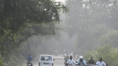 Photo of मध्यप्रदेश में दो दिन बाद फिर कड़ाके ठंड