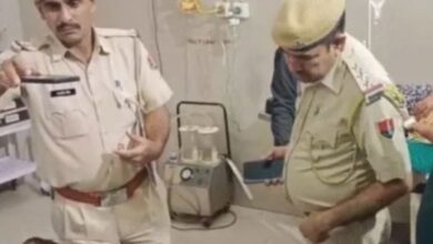 Photo of बेटी पर पिता ने कुल्हाड़ी से किया वार, मासूम दोहिते की मौके पर ही मौत