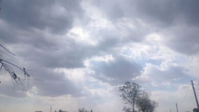 Photo of ठिठुरने लगा राजस्थान ; आज 11 जिलों में बारिश का अलर्ट