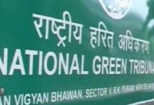 Photo of  अवैध रूप से पेड़ों की कटाई-छंटाई के मामले में निगम को कड़ी फटकार