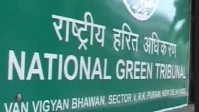 Photo of अवैध रूप से पेड़ों की कटाई-छंटाई के मामले में निगम को कड़ी फटकार