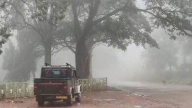 Photo of ओडिशा में सर्दी का प्रकोप, न्यूनतम तापमान 10.5 डिग्री सेल्सियस