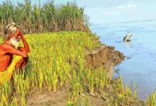 Photo of खेती के लिए लिया 15 लाख का लोन, बाढ़ में तबाह हो गई फसल