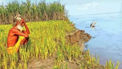 Photo of खेती के लिए लिया 15 लाख का लोन, बाढ़ में तबाह हो गई फसल