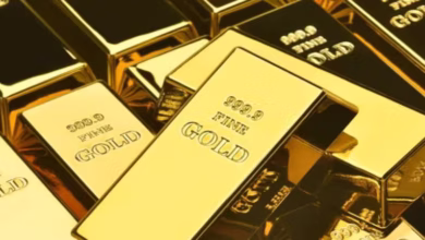 Photo of Gold Price Today: सोने की तेजी पर लगा ब्रेक, जानें 16 दिसंबर को दिल्ली से चेन्नई तक किस रेट पर बिक रहा सोना