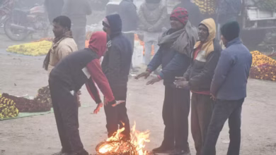 Photo of बिहार में अगले 4-5 दिन कैसा रहेगा मौसम? कोल्ड डे की संभावना, गयाजी, पटना, भागलपुर में घना कोहरा
