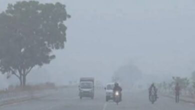 Photo of हरियाणा में शीतलहर का प्रकोप जारी