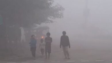 Photo of एमपी में नवंबर वाली सर्दी ने तोड़े रिकॉर्ड, अब दिसंबर की बारी