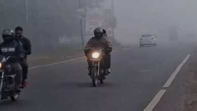 Photo of पंजाब में ठंड से राहत, सुबह-शाम हल्की होगी धुंध