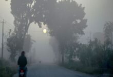 Photo of बिहार में कड़ाके की ठंड: 8 डिग्री पर पहुंचा इस शहर का तापमान