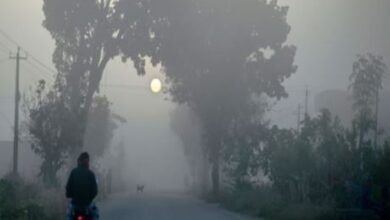 Photo of बिहार में कड़ाके की ठंड: 8 डिग्री पर पहुंचा इस शहर का तापमान